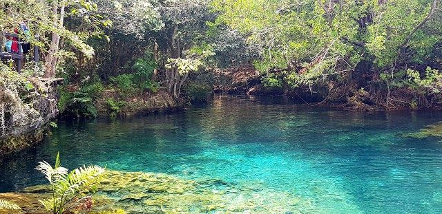 Reserva Ecológica Ojos Indígenas